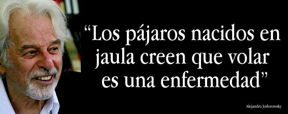 10603368_948463261837260_8880547967957474440_n